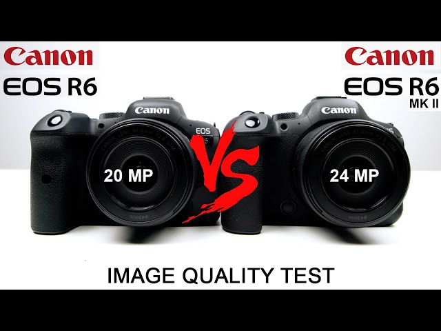 My Review of the Canon EOS R6 Mark II: Is It Better Than the First