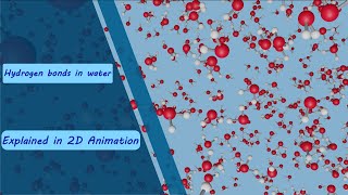 Hydrogen bonds in water explained in 2D animation