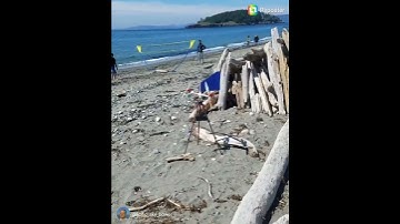 Beach WIND Turbine Generators - Clean Energy #shorts #charger #love