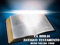 LA BIBLIA JOB REINA VALERA 1960  ANTIGUO TESTAMENTO