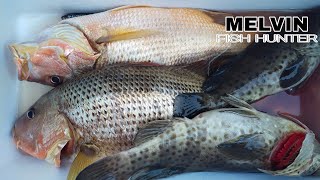 LONG LINE FISHING IN CORREGIDOR (SOLO FLIGHT)