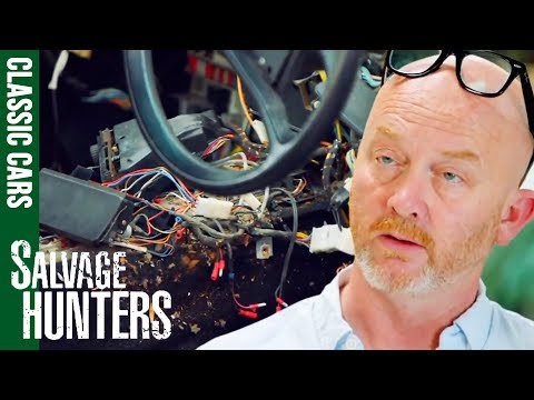 Shocking Mouse Infested