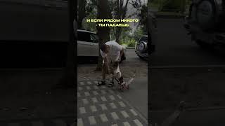 А кто рядом, когда ты падаешь? #бизнес #провал #жиза #предприниматель