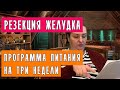 РЕЗЕКЦИЯ ЖЕЛУДКА. Подробности про режим питания. Ощущения, наблюдения. (29 апреля)