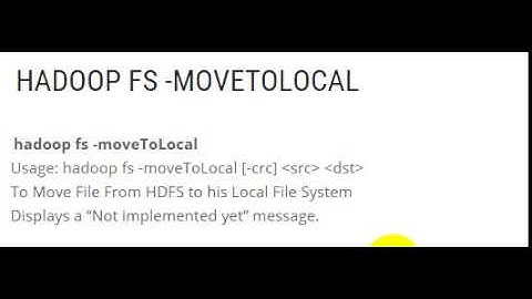 HADOOP FS  MOVETOLOCAL