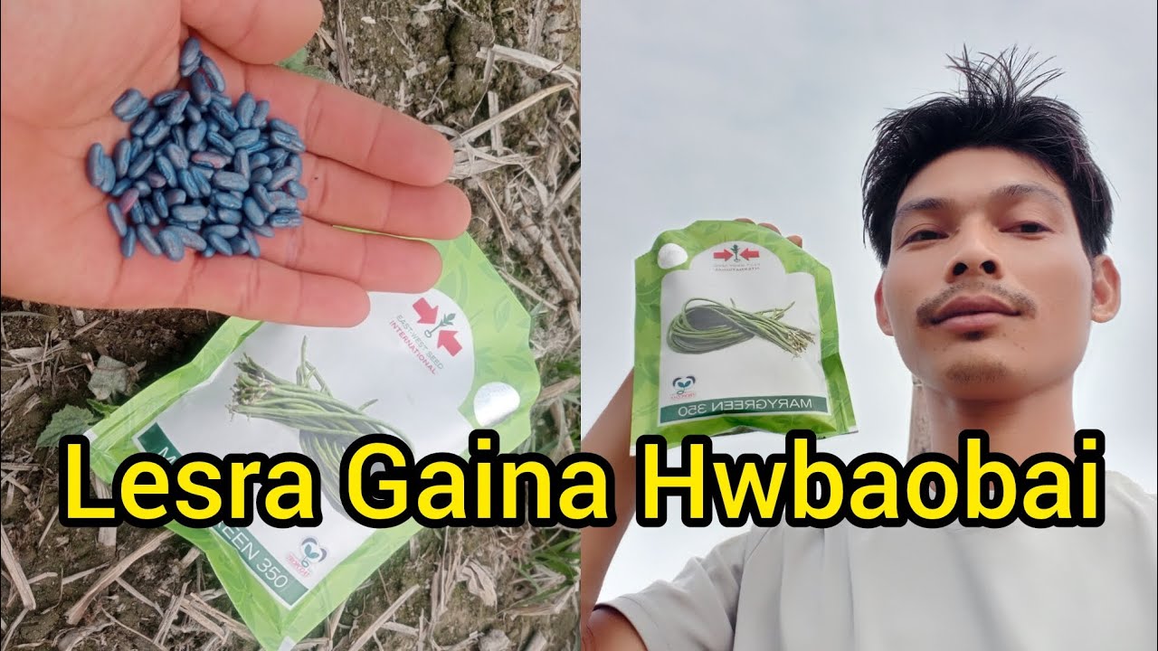 Lesra Gaina Hwdirbai Ep. 94