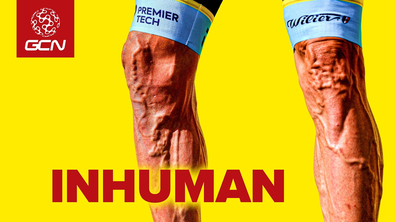What Does The Tour de France Do To The Human Body?