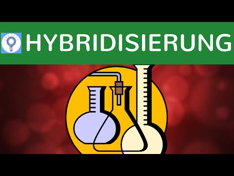 Video: Unterschied Zwischen Hybridisierung Und Introgression