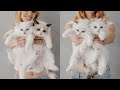 Meet the Kittens from the 'L' Litter | Learn More About Each of Their Personalities