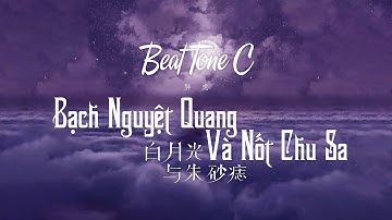 [CẢM ÂM - BEAT TONE C] BẠCH NGUYỆT QUANG VÀ NỐT CHU SA - ĐẠI TỬ | 白月光与朱砂痣 - 大籽