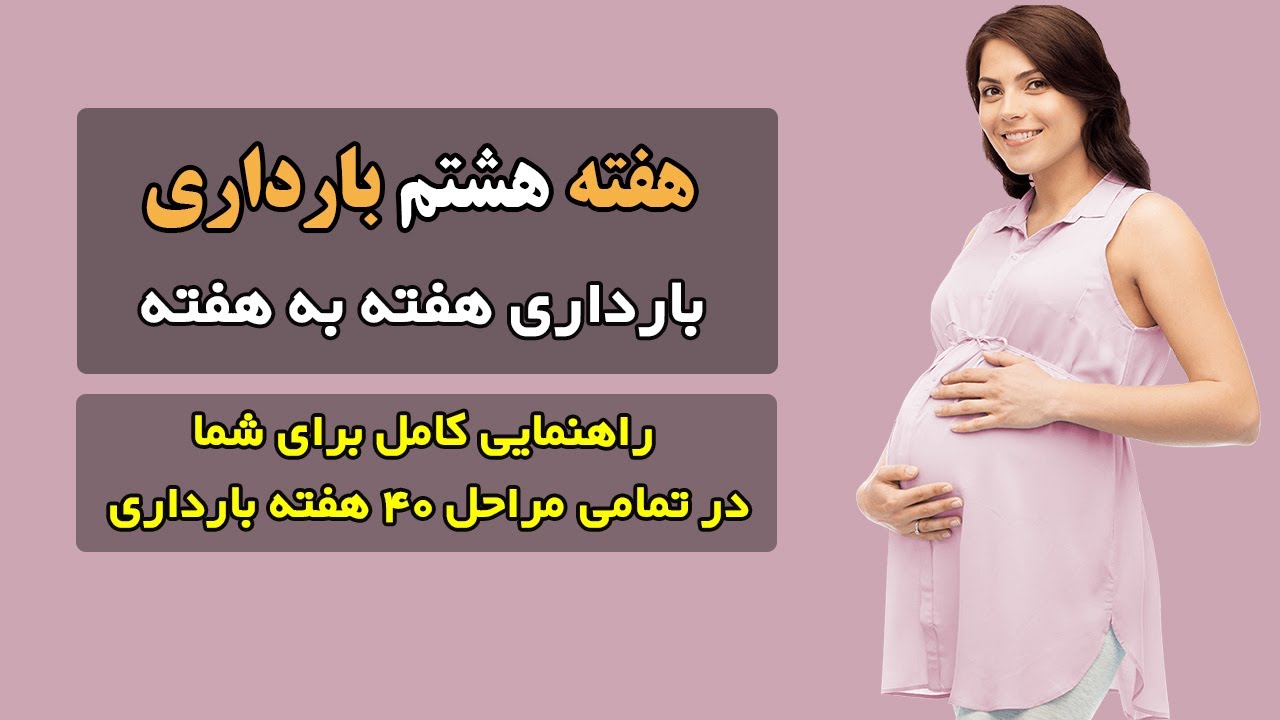 هفته هشتم بارداری هفته به هفته