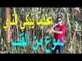 عندما يبكي الناي الحزين                                                    الناي    فرنسا   السعودية نجومي