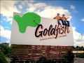 Goldfish Colors 2001 