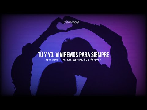 Liam Payne & Cheat Codes - Live Forever // letra - lyric