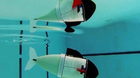 Soft Robot Fish Lead New Wave of Robotics