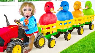 Monkey Bon Bon drives tractor on an adventure to find Missing Yellow Duck | Bon Bon Indonesian