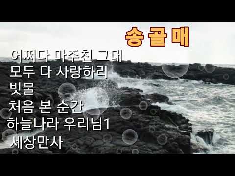 송골매 노래모음1