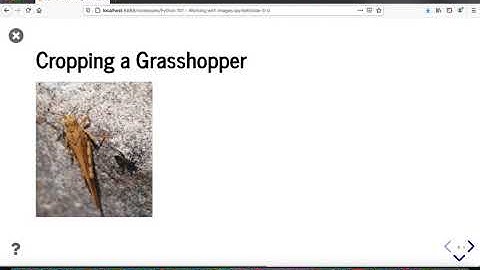 Python 101 - How to Crop a Photo