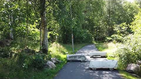 Do you need to learn Java to be a professional programmer?