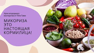картинка: Микориза это настоящая Кормилица!