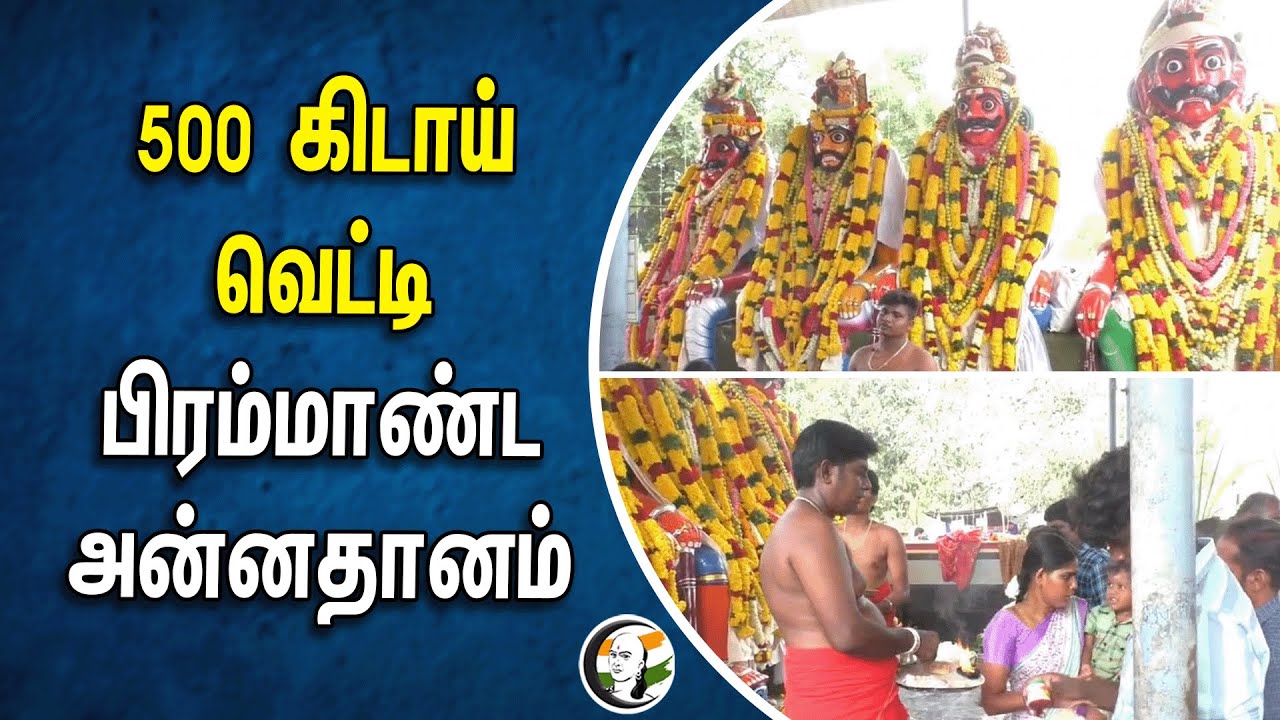 500 கிடாய் வெட்டி பிரம்மாண்ட அன்னதானம் | Tiruppur Muniyappasamy Temple Festival | GOAT | SHEEP