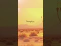 His Light 🌟 Behaalotecha Parsha Song | Menorah Inspiration & Torah Music Worship song #music