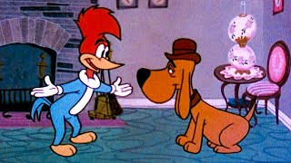 Woody&#39;s Talking Dog! | 2.5 Hours of Classic Episodes of Woody Woodpecker