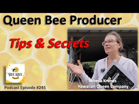 Commercial Queen Bee Producer - Tips & Secrets to Success