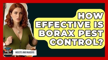 How Effective Is Borax Pest Control? - Insects and Invaders