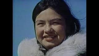 Two Against the Arctic (The Wonderful World of Disney) 1974
