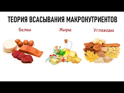 ТЕОРИЯ ВСАСЫВАНИЯ МАКРОНУТРИЕНТОВ