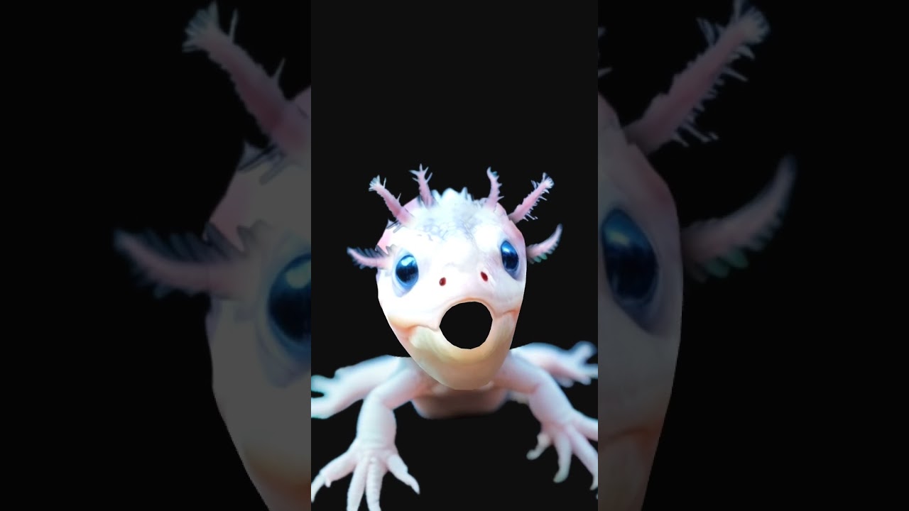 Funny funny funny funny joke 🤣🤣🤣🤣