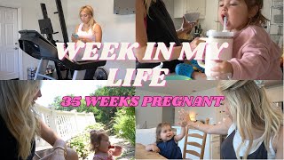 MOM LIFE/35 WEEKS PREGNANT/CA LIVING