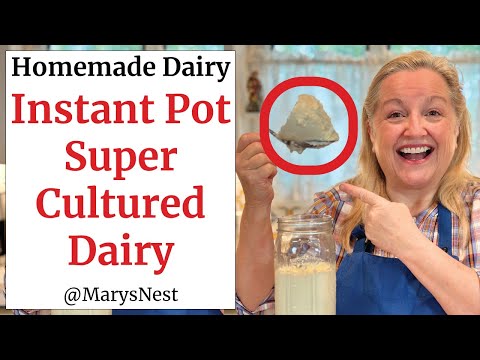 How to Make Super Cultured Dairy with L. Reuteri - Mary's Nest