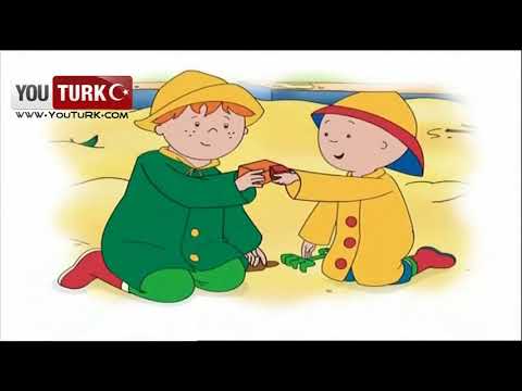 Caillou Türkce - Caillou Yol iscisi