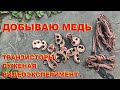 Травлю медь в кислоте. Видеоэксперимент. Транзисторы и луженая медь.