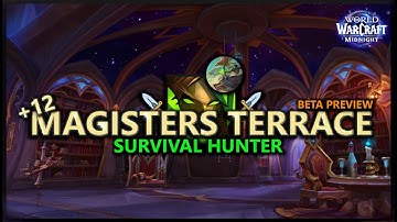 Back to Dual-Wield! Magisters Terrace REWORK - Survival Hunter -Midnight Beta