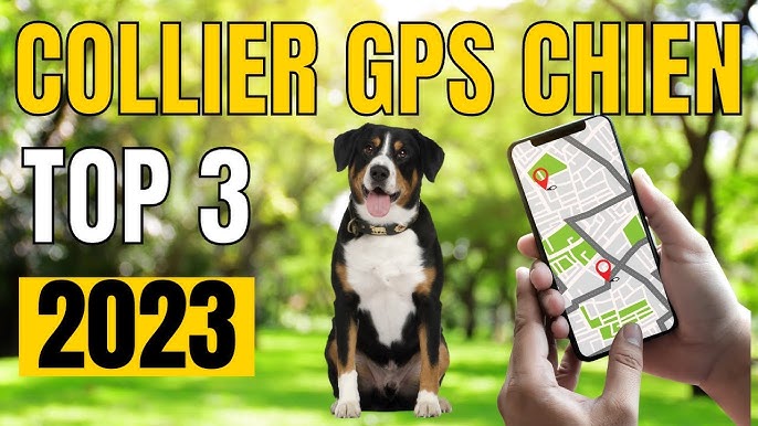 Traceur GPS chiens et chats