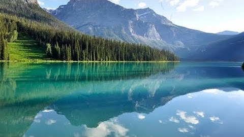 English precis and composition lec 05#precis #grammar #composition #noa #css #pms #jwt