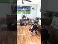 You gotta love the passion from this kid. ⚾️💙   (📹: Jerseykid672 / TikTok)