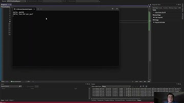 How to use a Try/Catch/Finally in C#