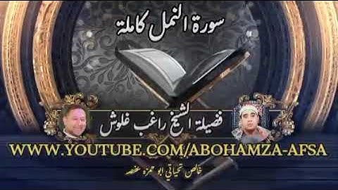 الشيخ راغب غلوش لاول مره سورة النمل كامله مجمعه من تلاوات الفجر