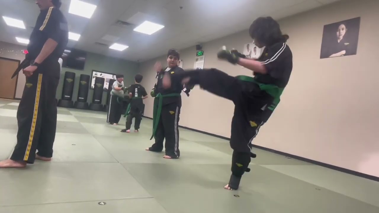 SPINNING HOOK KICK PRACTICE 
