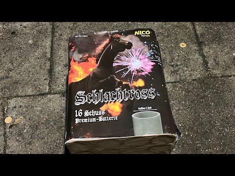 NICO Schlachtross 16