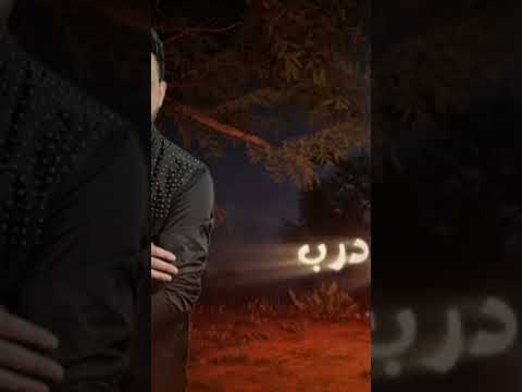 ربيان بحرب محمد شيخ جديد نار