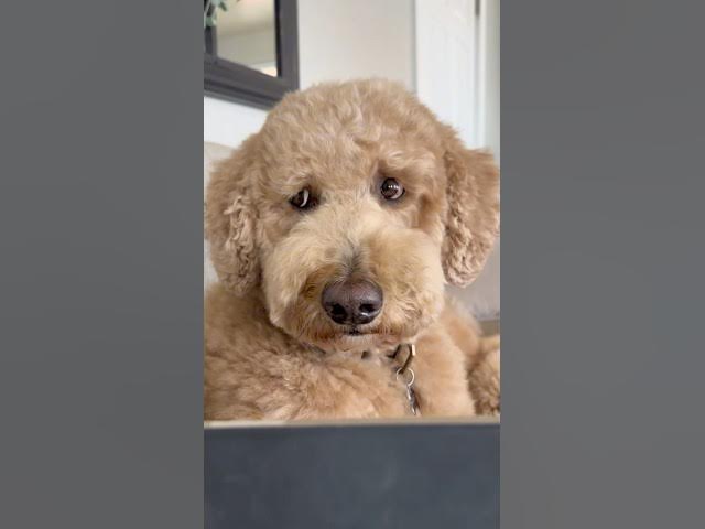 Can’t just apologize with words.. it takes actions (according to Oliver) ​⁠@kinshippets