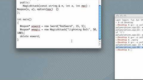 C++ Basic Skills: 33 - Introduction to Polymorphism