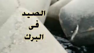 تقنيات وفنون صيد البوري من البرك  | الصيد وقت المد