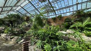 Section of the greenhouses at Montreal's Botanical Gardens