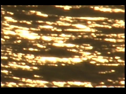 Plum - Leaving Official Music Video